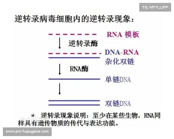 “世界反兴奋剂机构修订检测标准，基因技术引入保障竞赛公平”